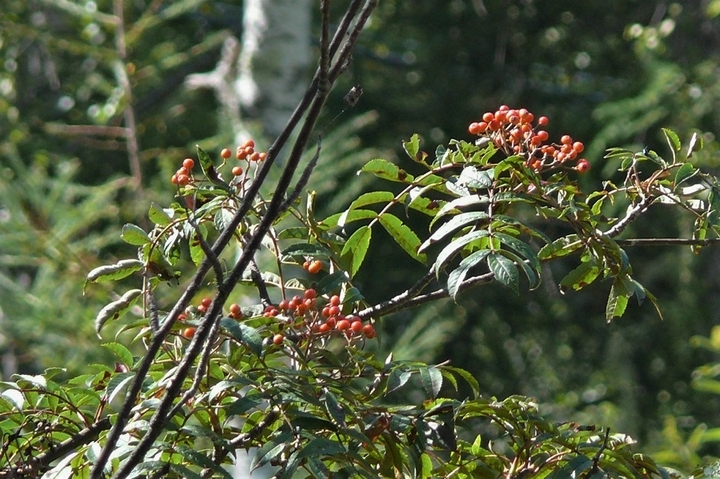 P1250137.JPG