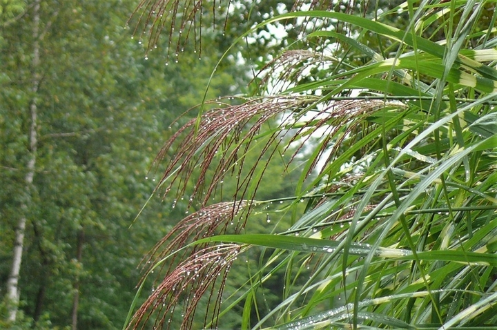 P1250173.JPG