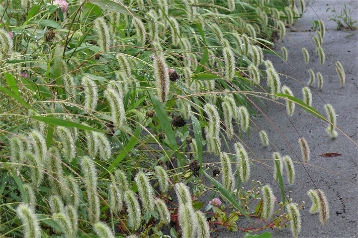 P1250190.JPG