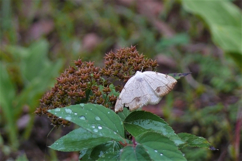 P1250246.JPG