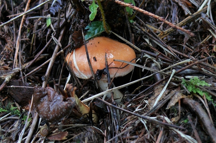 P1250254.JPG