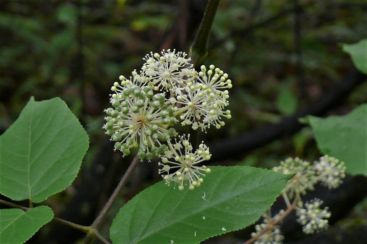 P1250257.JPG
