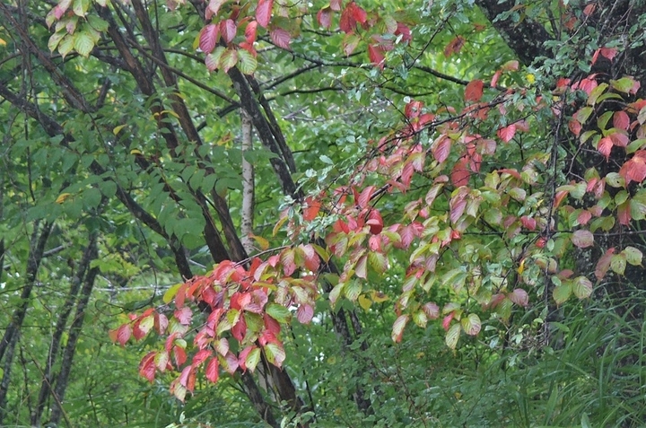 P1250179.JPG