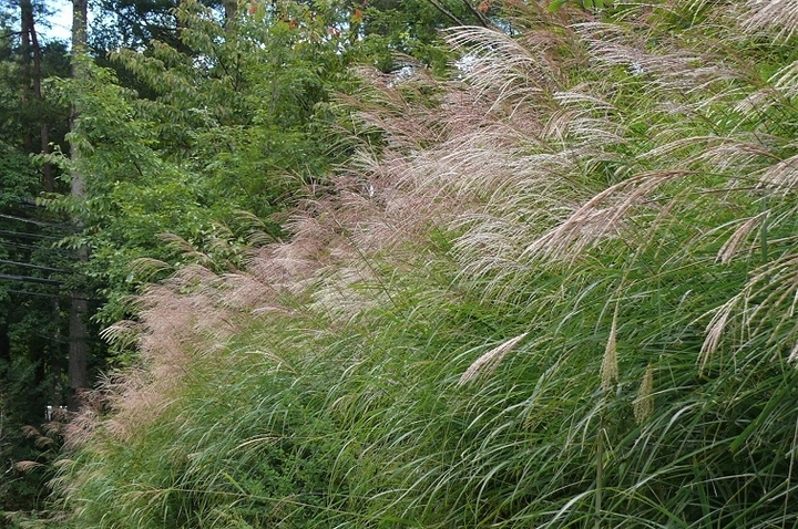 P1250321.JPG