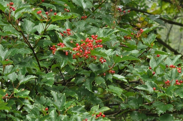 P1250226.JPG