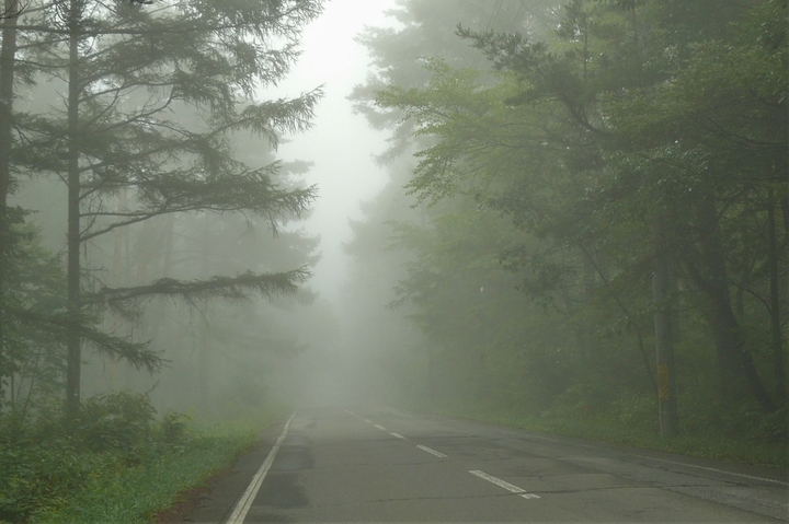 P1250013.JPG