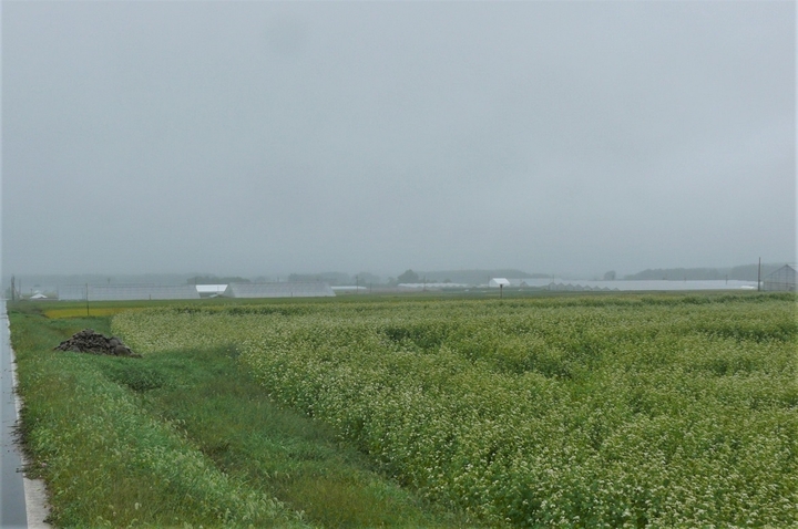 P1250158.JPG