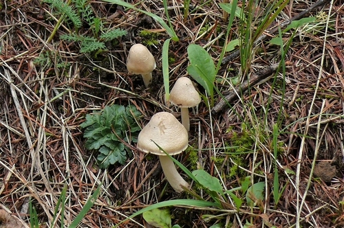 P1260008.JPG
