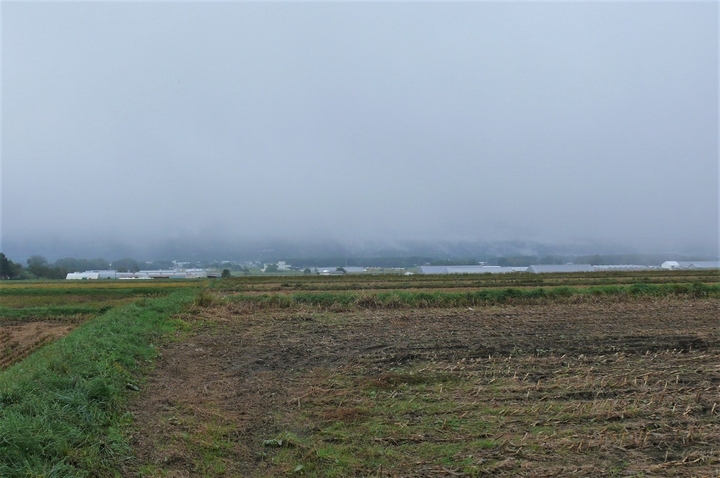 P1260243.JPG