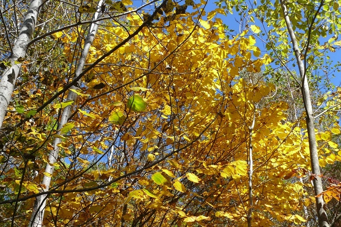 P1260740.JPG