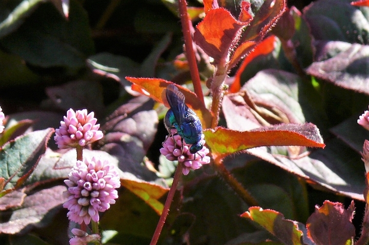 P1260888.JPG