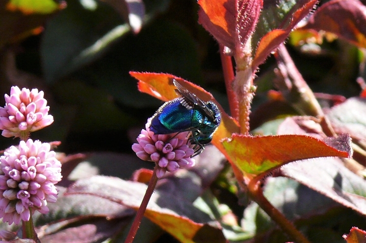 P1260890.JPG