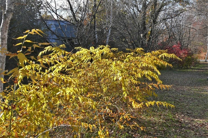 P1270084.JPG