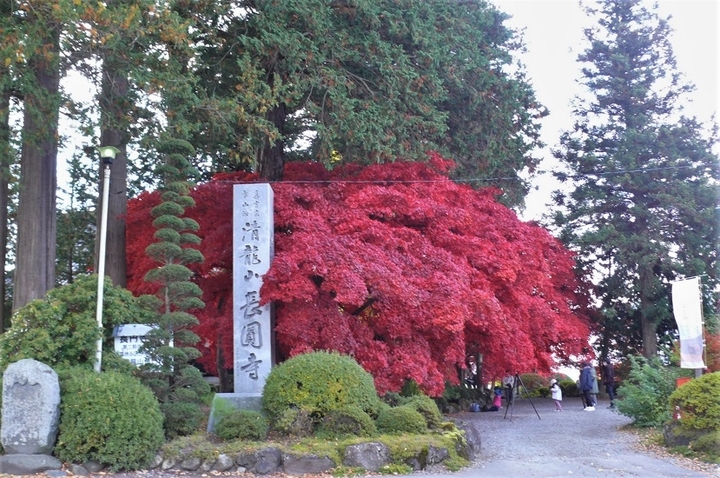 P1270104.JPG