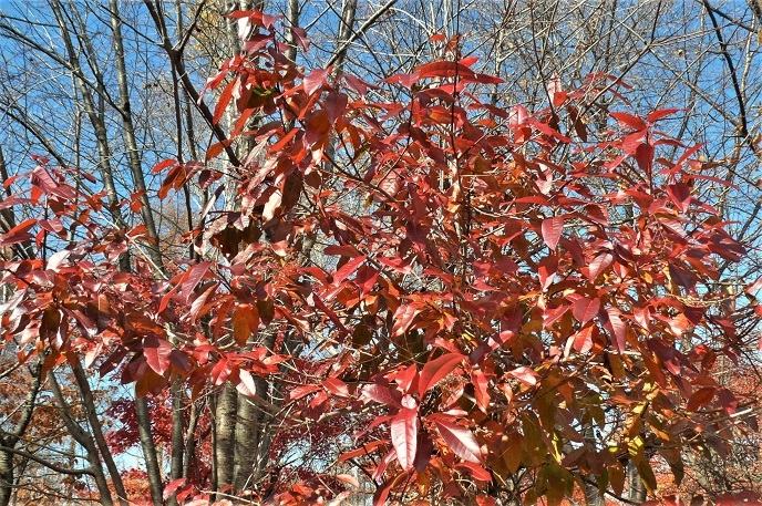 P1270113.JPG