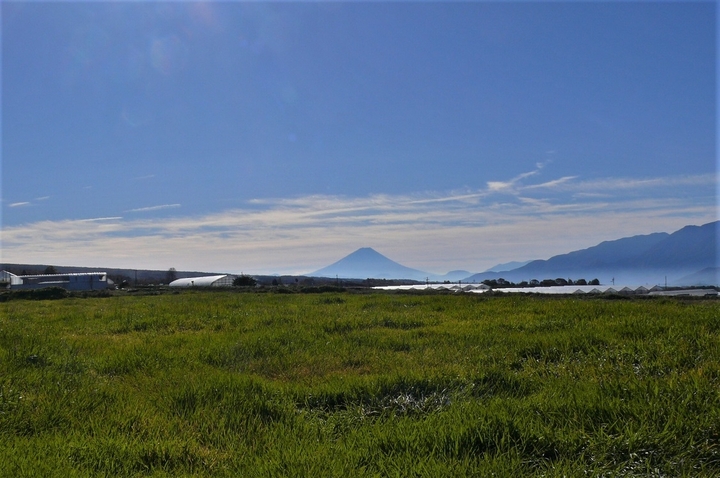 P1270134.JPG