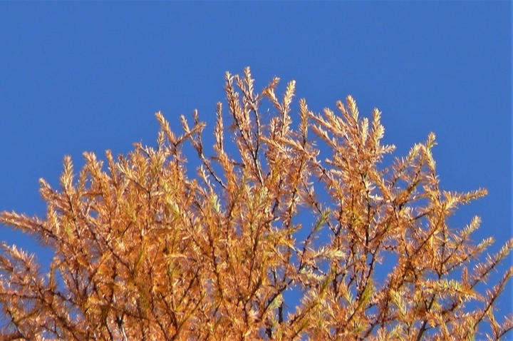 P1270150.JPG