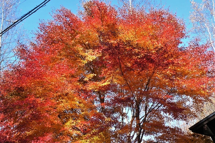 P1270166.JPG