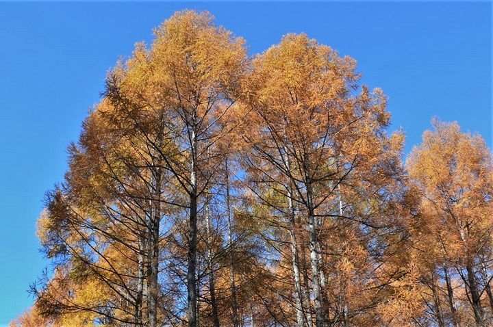P1270194.JPG