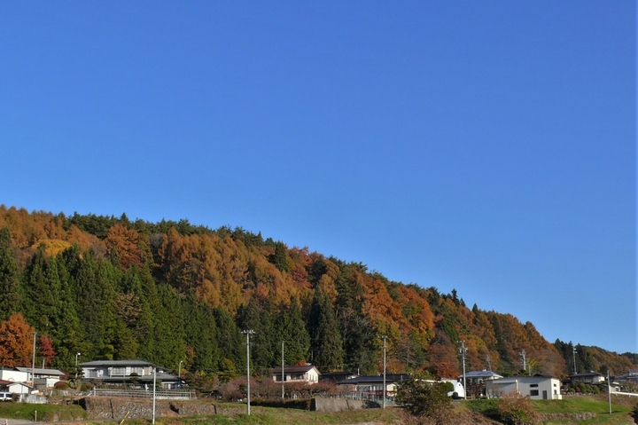 P1270197.JPG