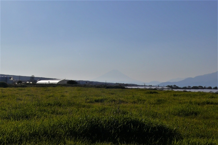 P1270201.JPG