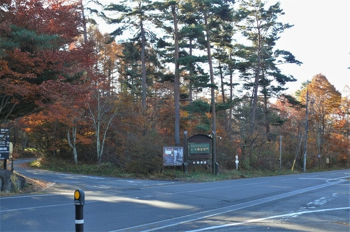 P1270211.JPG