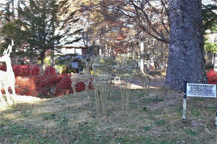 P1270213.JPG