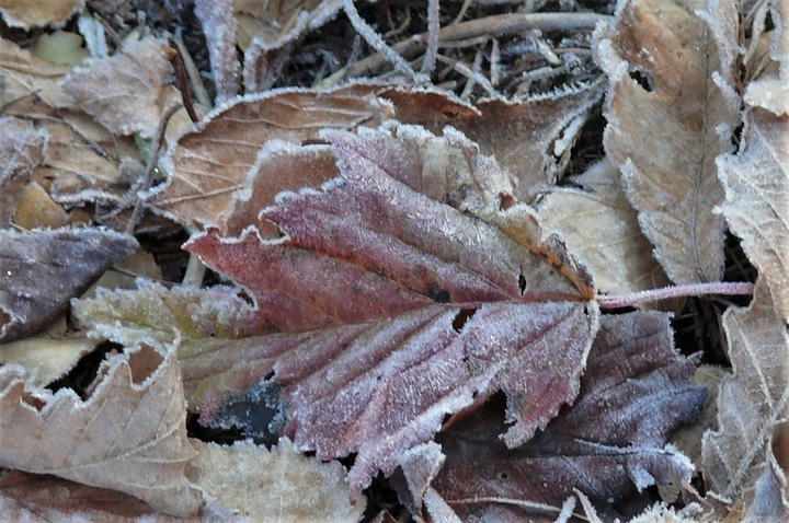 P1270216.JPG