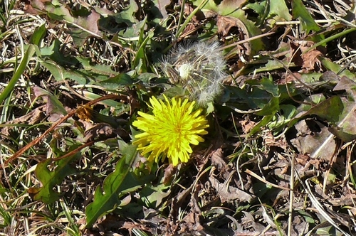 P1280085.JPG