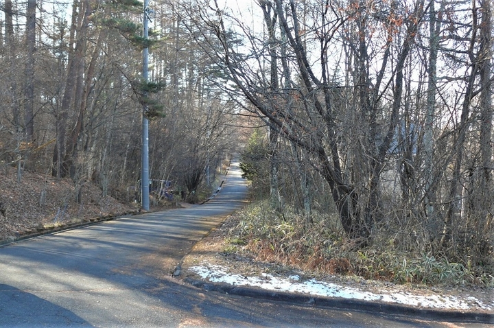 P1280038.JPG