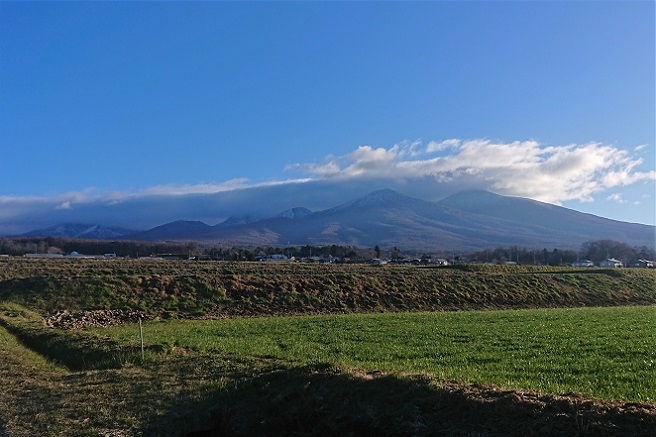 DSC_3050.JPG