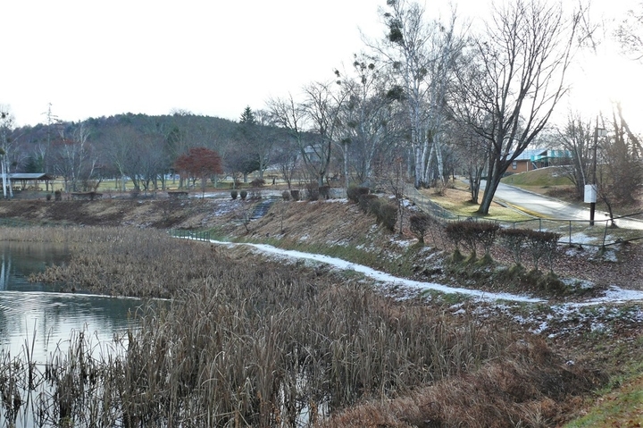P1280018.JPG