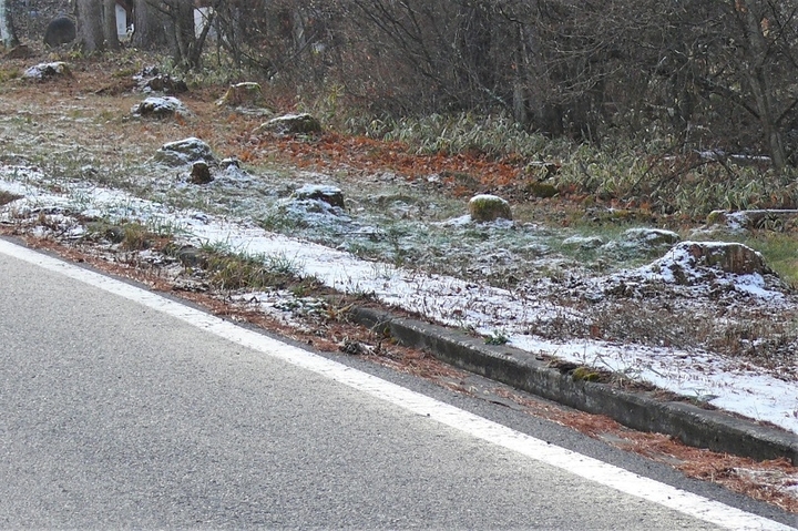 P1280022.JPG