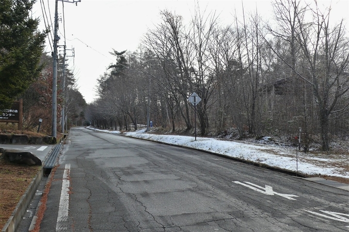 P1280033.JPG