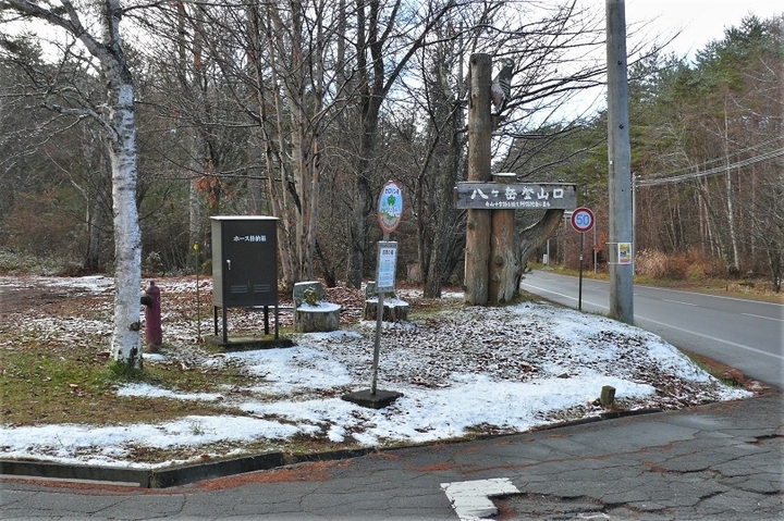 P1280034.JPG