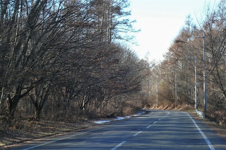 P1280057.JPG