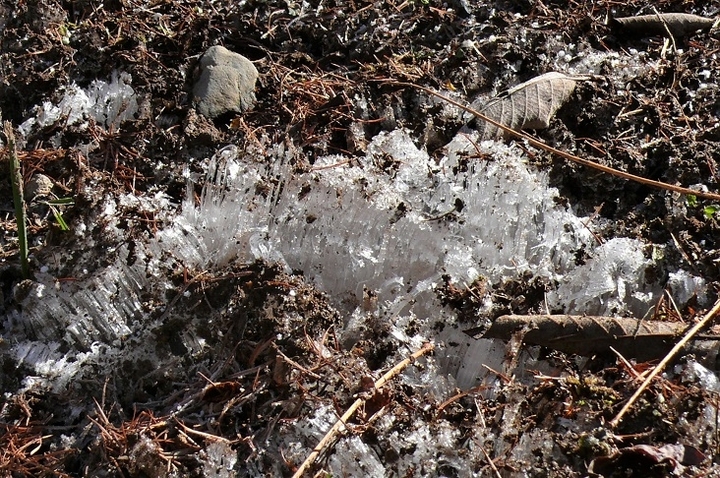 P1280058.JPG