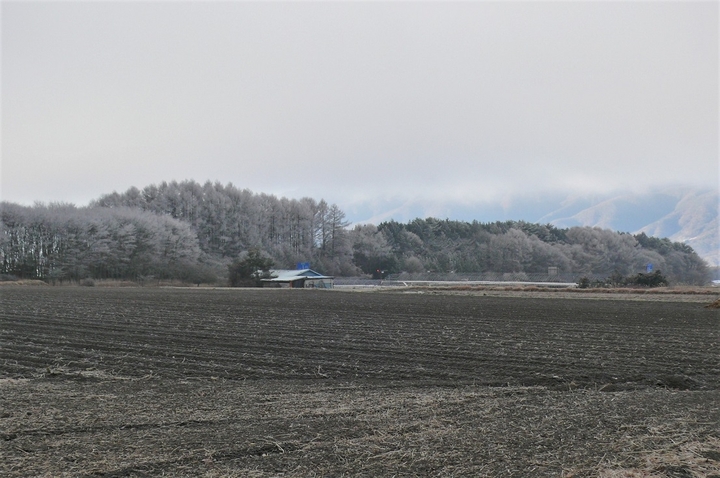 P1280159.JPG