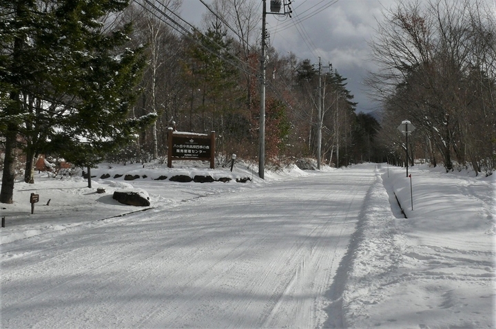 P1280380.JPG