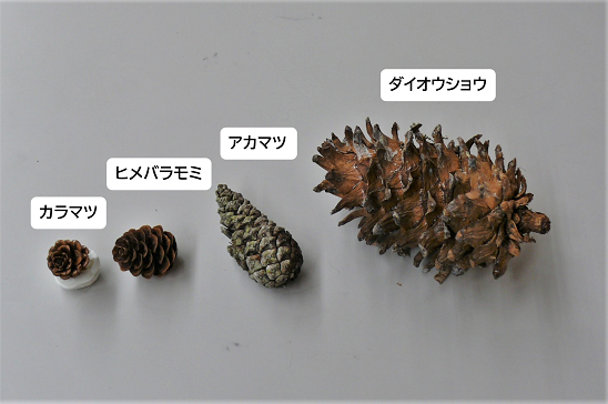 画像2.png