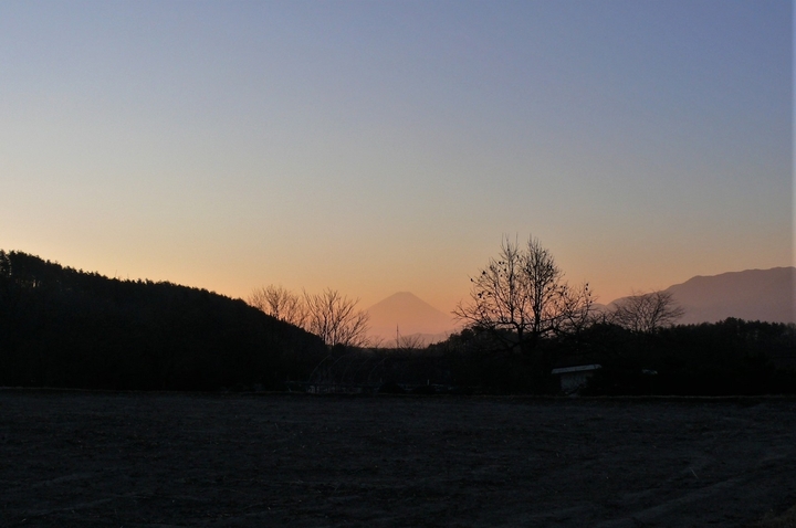 P1280827.JPG
