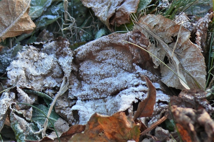 P1280765.JPG
