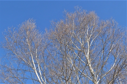 P1280793.JPG