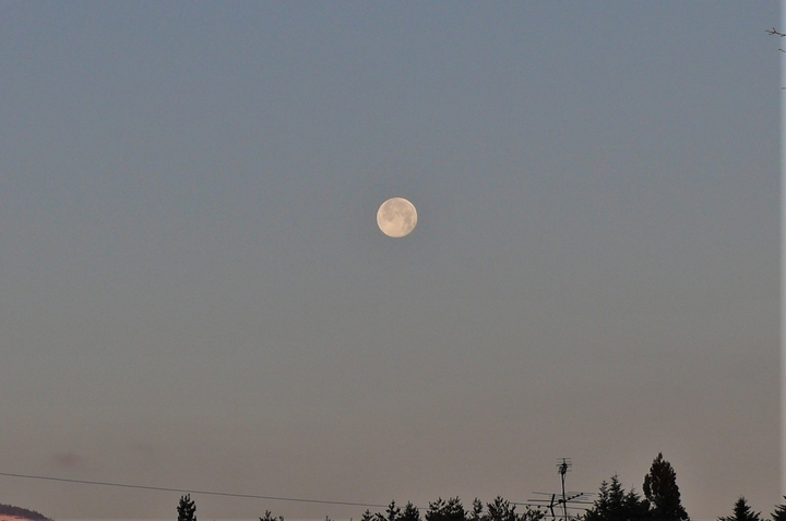 P1280823.JPG