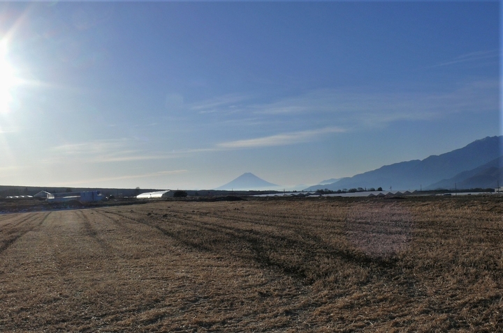 P1290461.JPG