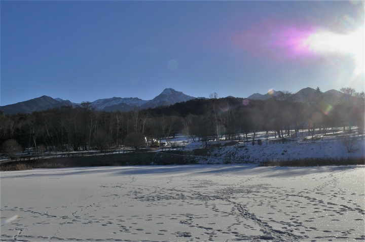 P1290466.JPG