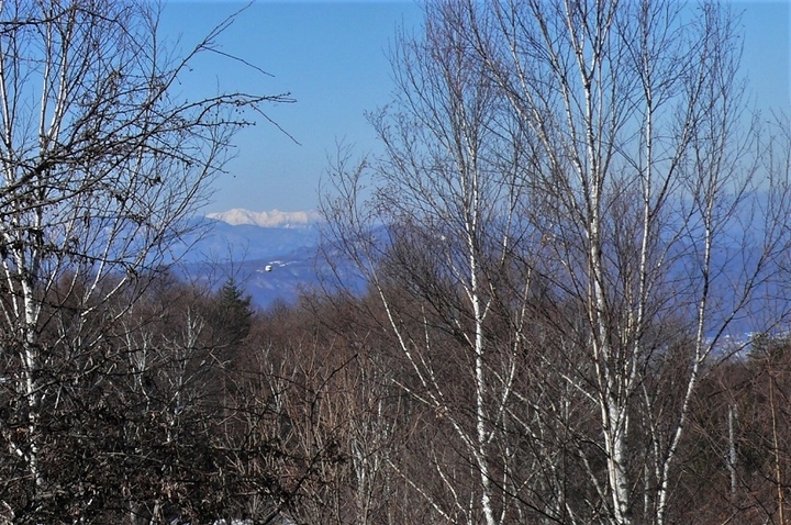 P1290521.JPG