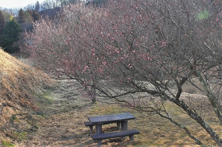 P1290990.JPG