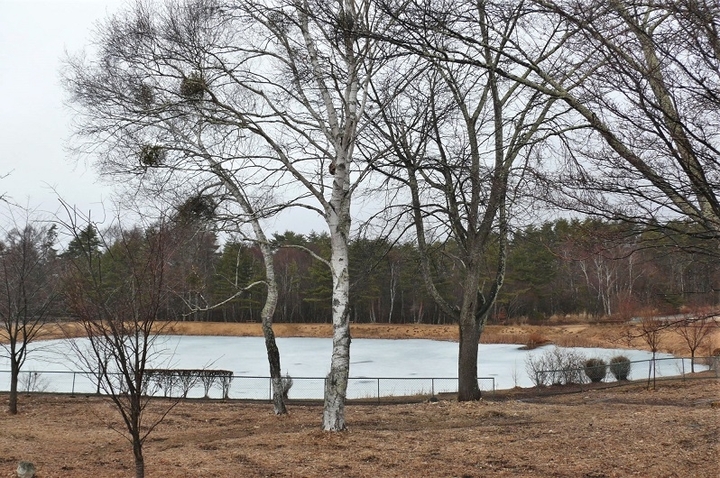 P1300006.JPG
