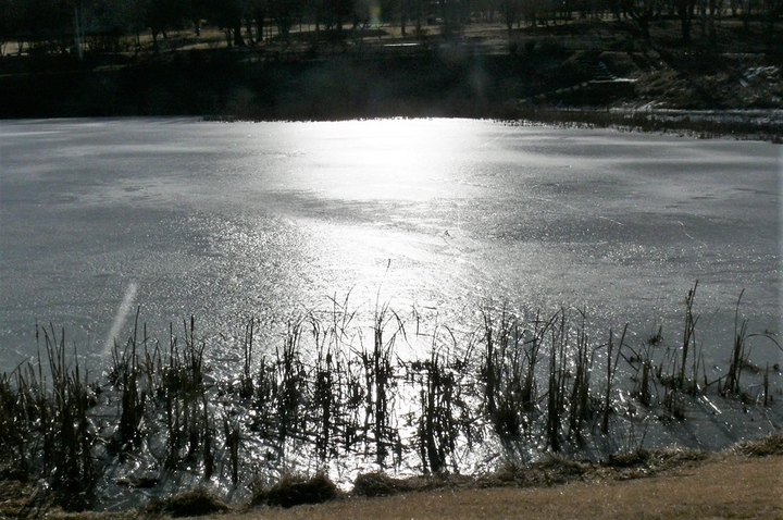 P1300029.JPG